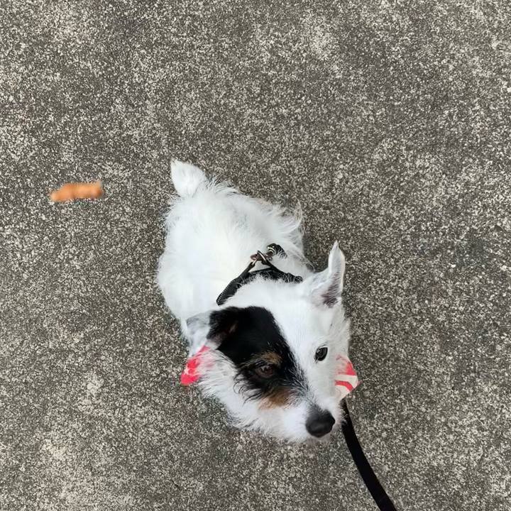 Cfa25af4 519c 4cd6 900e 683e81aa07ff 1688774749210