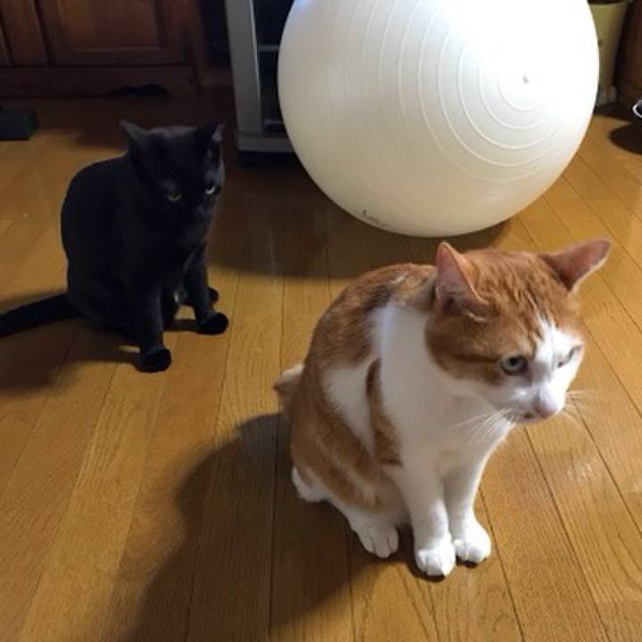 Cfa27ff6 f556 4717 bcc1 d03171e4a890 1611312256466