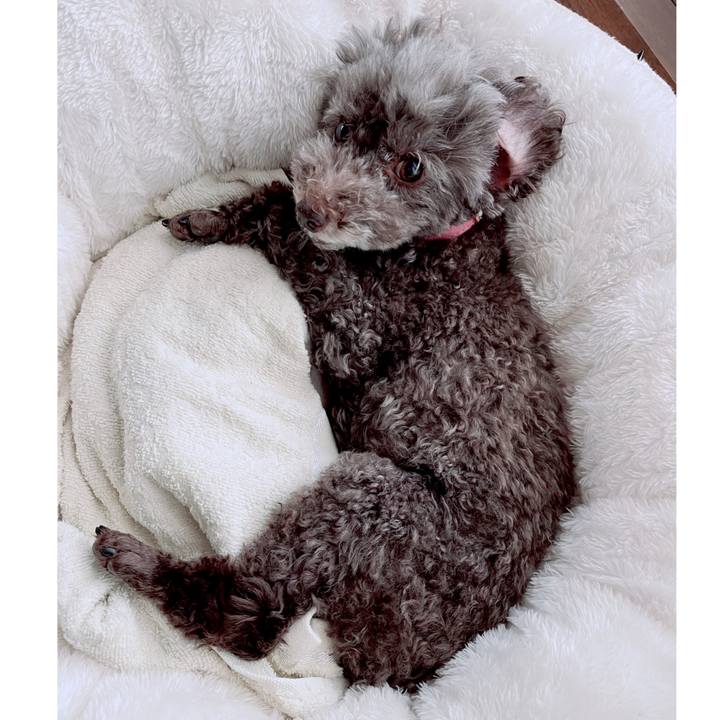 Cfa29d68 7d2d 4755 ad04 831e8fb0f4da 1696722104012