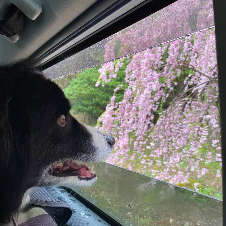 Cfa2c3dd ad3e 45c7 9b92 736236556fc4 1649659525918