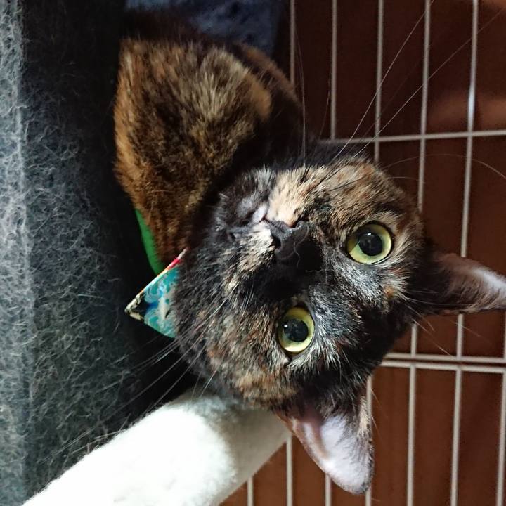 Cfa2cad7 a6e2 43ee a7c3 e3c92300593f 1581949220090