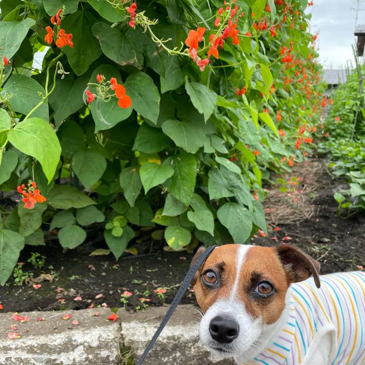 Cfa2d5f8 d0cc 4ce1 8a63 b46818be7126 1625734389860