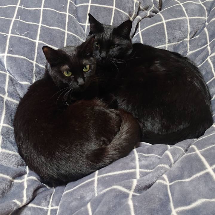 Cfa2de36 61f2 451b 965c 240e63c48ccb 1675210033227