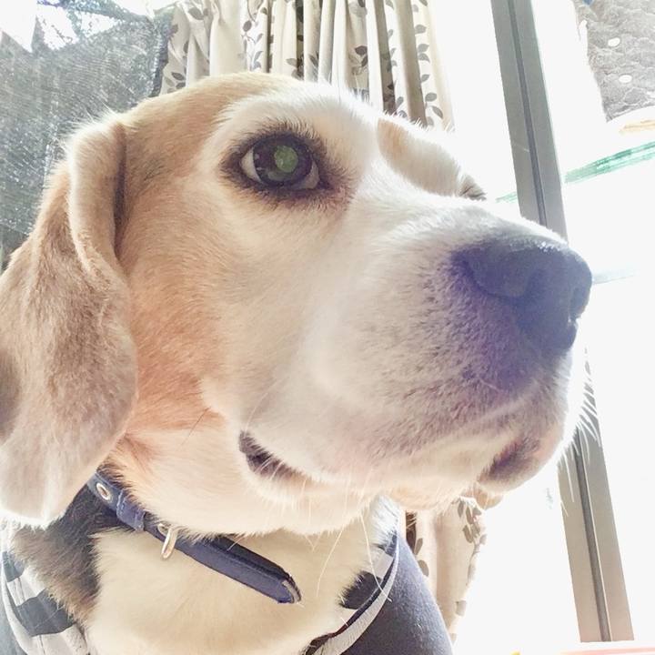 Cfa301d9 c965 4167 a9ac c9c63caaf64c 1740194510355