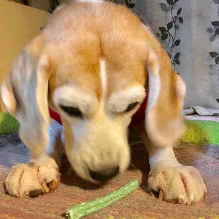 Cfa32613 90d4 4a4c 9aee b9205d6a6cbf 1549808947630