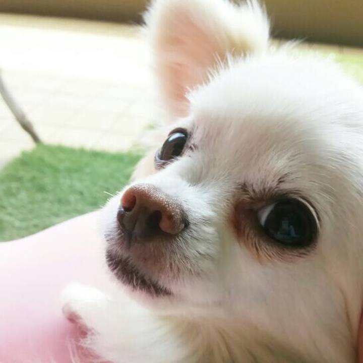 Cfa330f6 9aab 4087 b06c 4338d60a4495 1525324696928