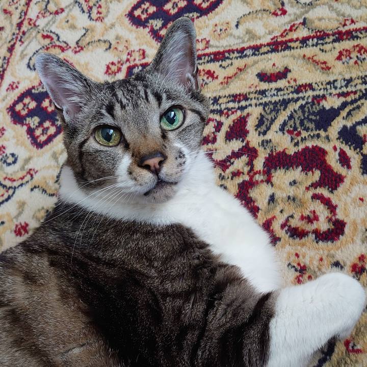 Cfa33ace 84d0 4a73 8ee1 f2d34824763f 1709430547932