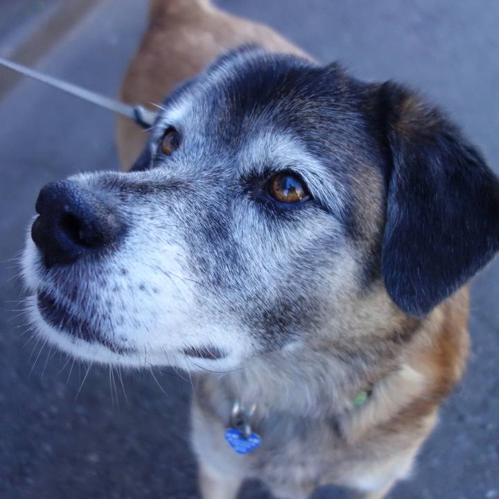 Cfa34dd2 2205 4d17 b428 a6e803e6ec63 1656116013409