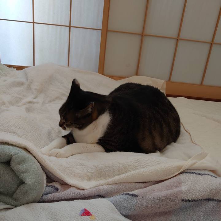 Cfa36c37 d737 4f48 b9e2 02e3d00d0603 1591272170965