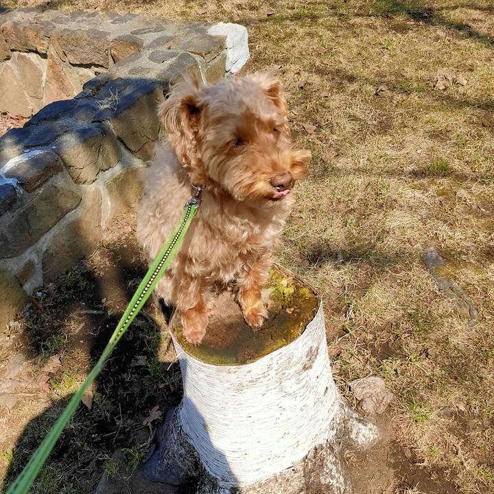 Cfa39c6f 8e06 48b8 b7c6 61eafcb020fa 1587262693695