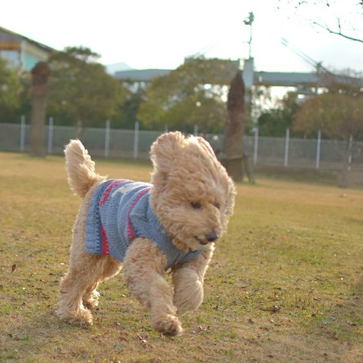 Cfa3a9c3 20cd 48a8 8245 daa62d45c6f2 1517738150231