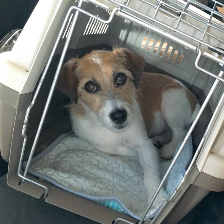 Cfa3bfab a666 4090 8cec 107fce18b58e 1566348609456