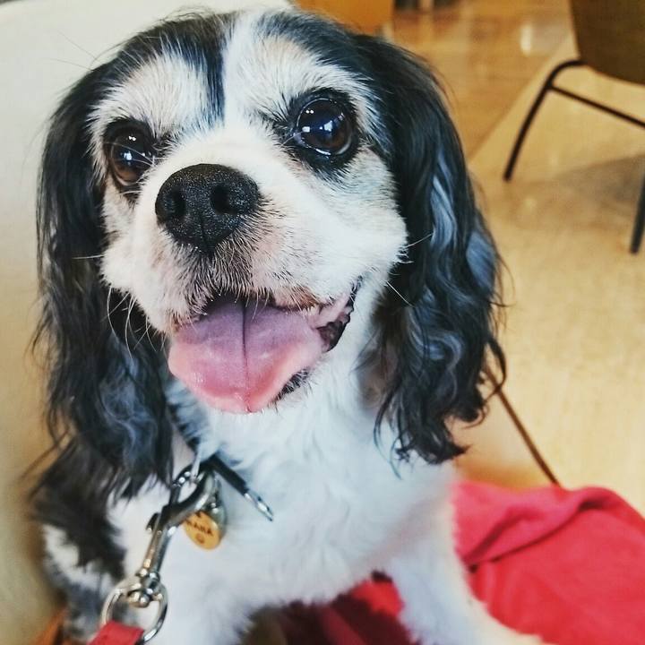 Cfa3e17d 0ad1 4a9a 8bff ded23db48a6b 1532758641276