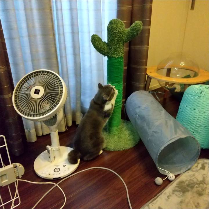 Cfa44346 5fb7 41eb 8a16 8ec086ba6ca3 1641860262139