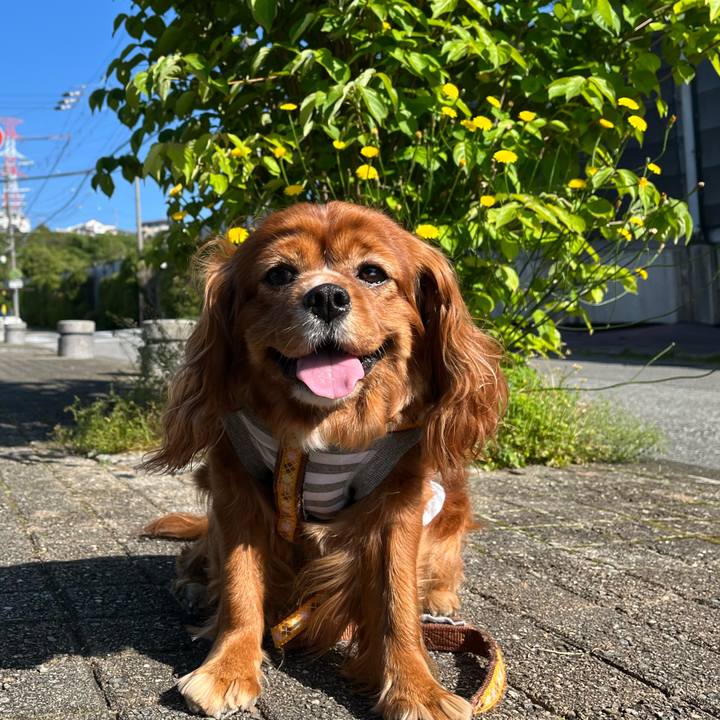 Cfa46b4b 682c 4eb7 8712 6a81d3876635 1651879759993