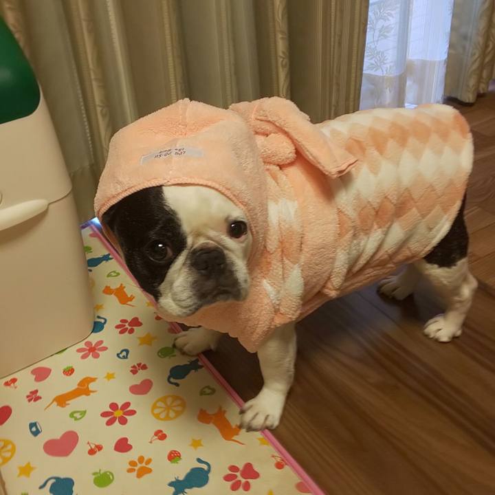 Cfa47ae5 9b57 4b9d bc29 f57d87e7eeb8 1630817992446