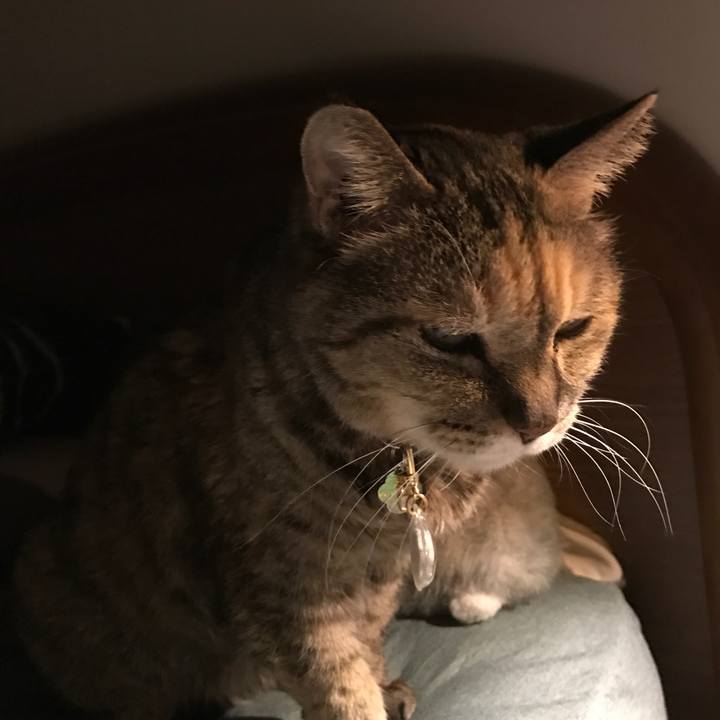 Cfa4a269 5d5a 4ac5 b96c af00f9e720c6 1516451628401