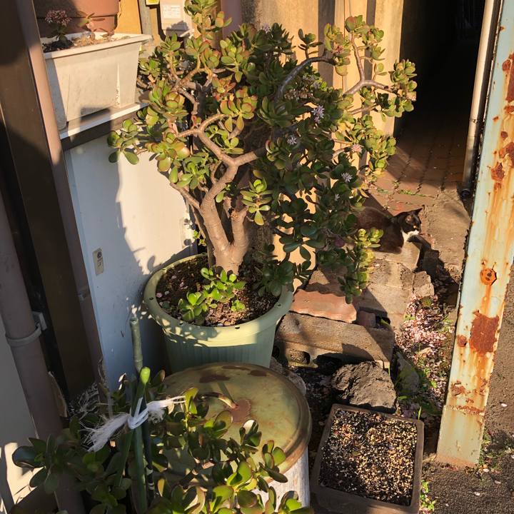 Cfa4a410 d5dd 43dc a945 ddb8ac223d6b 1555676852341