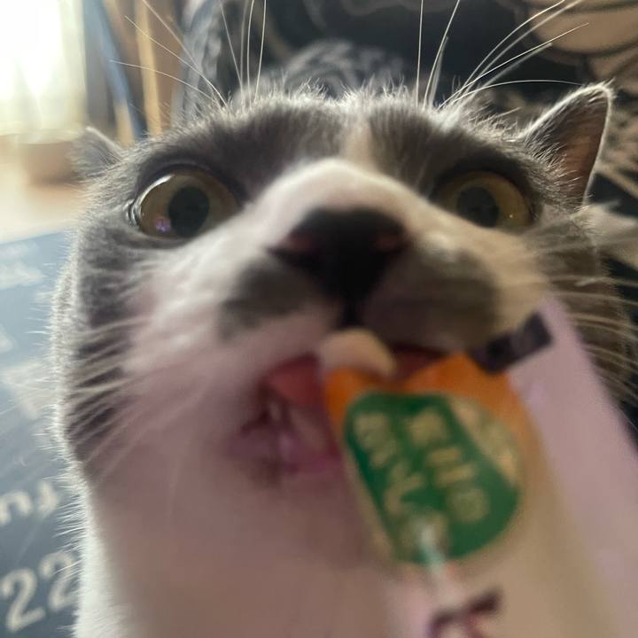 Cfa4ad1f 6bfe 4cdb 809b 4a79f8ab2599 1726642155507