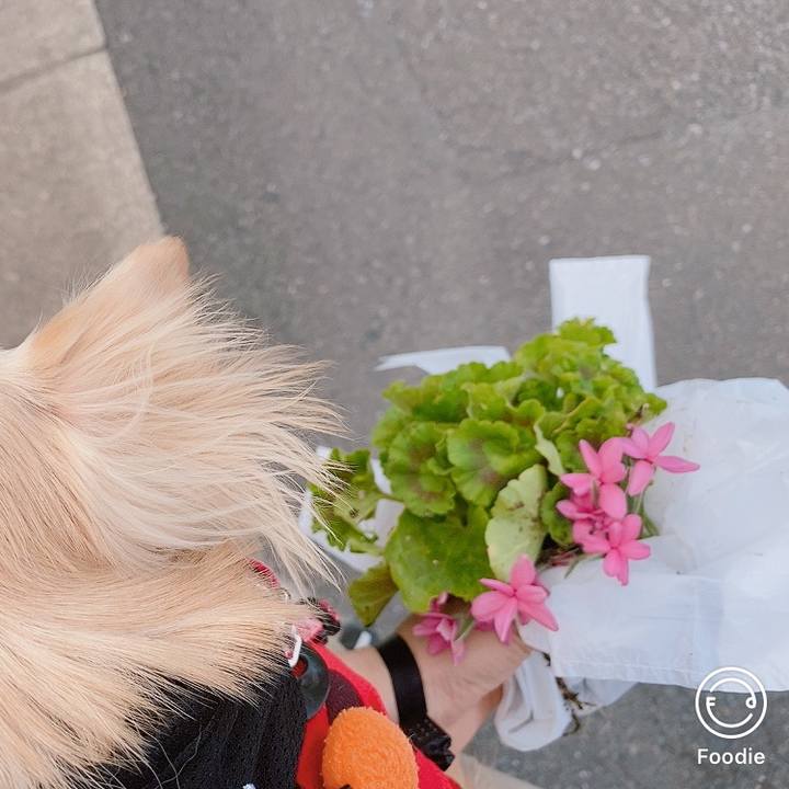 Cfa4b9ab ad7d 48b5 95c1 21202619bf0e 1619597915597