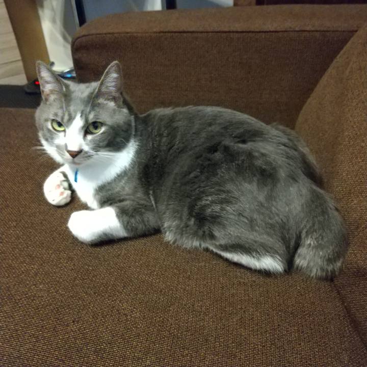 Cfa4eced 2321 4c27 a72e 071c97dd5320 1615281259762