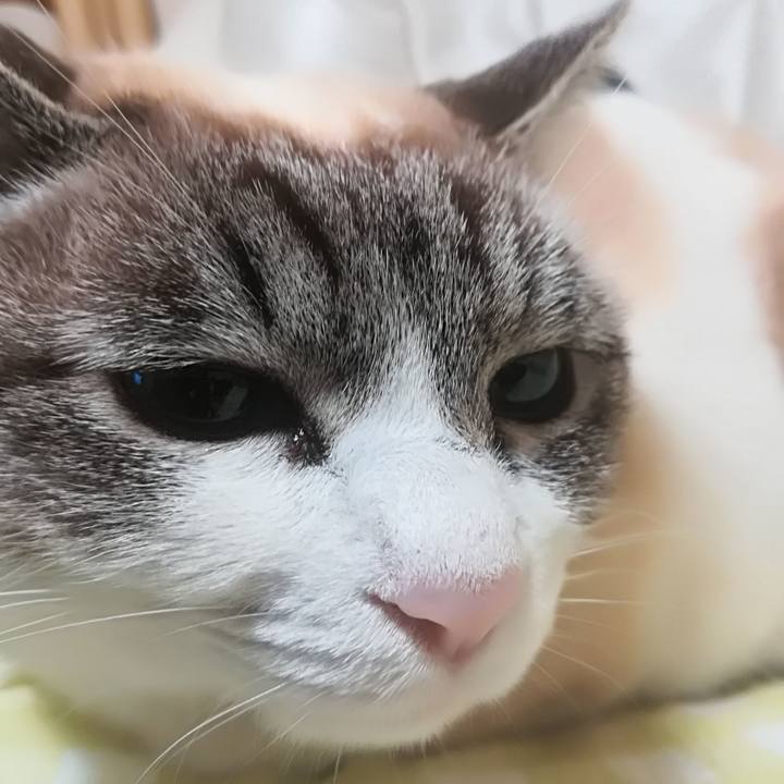 Cfa4fbf9 dcba 4747 86ee 18a8a4edfee3 1518705738124