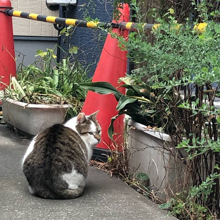 Cfa53b38 9bc4 4bba 8f32 116b3fcdf74b 1550221507387