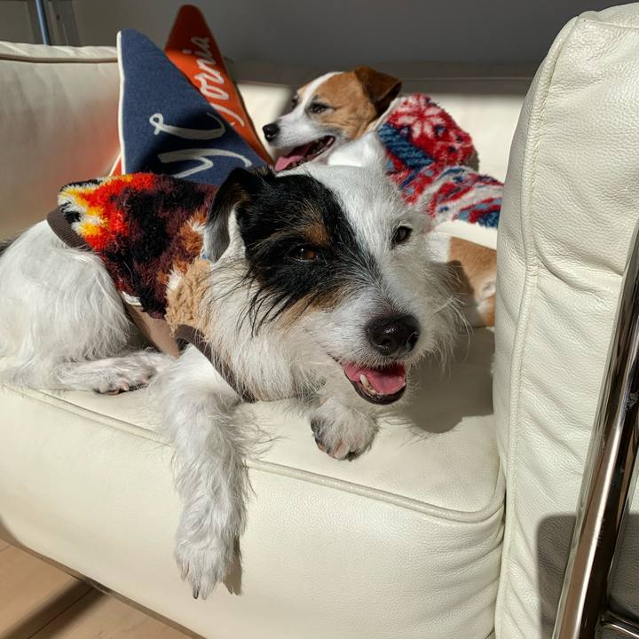 Cfa55a7e 5883 4888 9241 cb97c6dc06e1 1579578484349