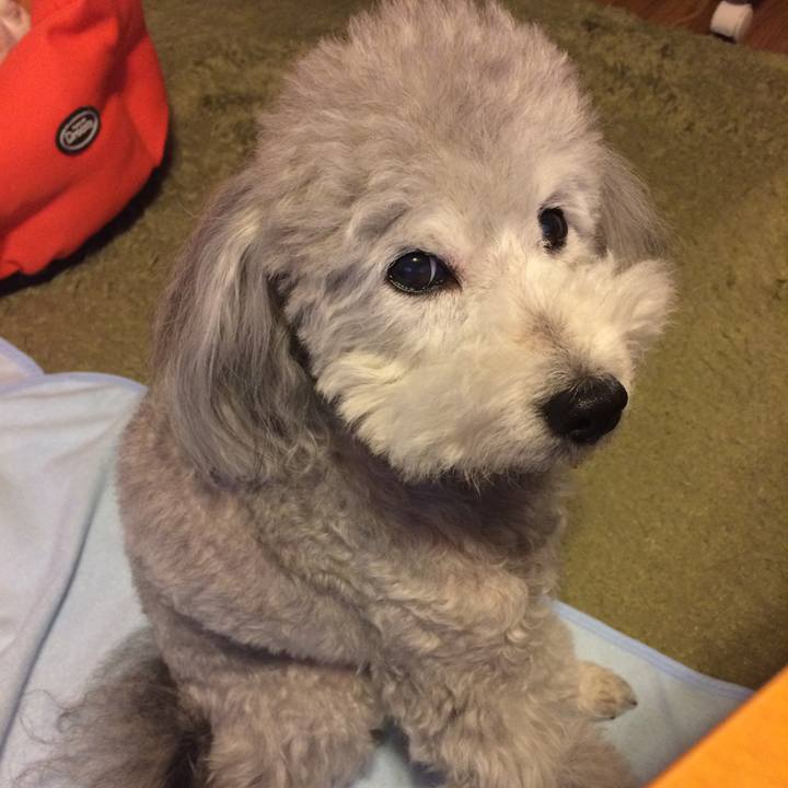 Cfa596bb c315 4f62 bdc1 baaa2b361e5e 1516608050531