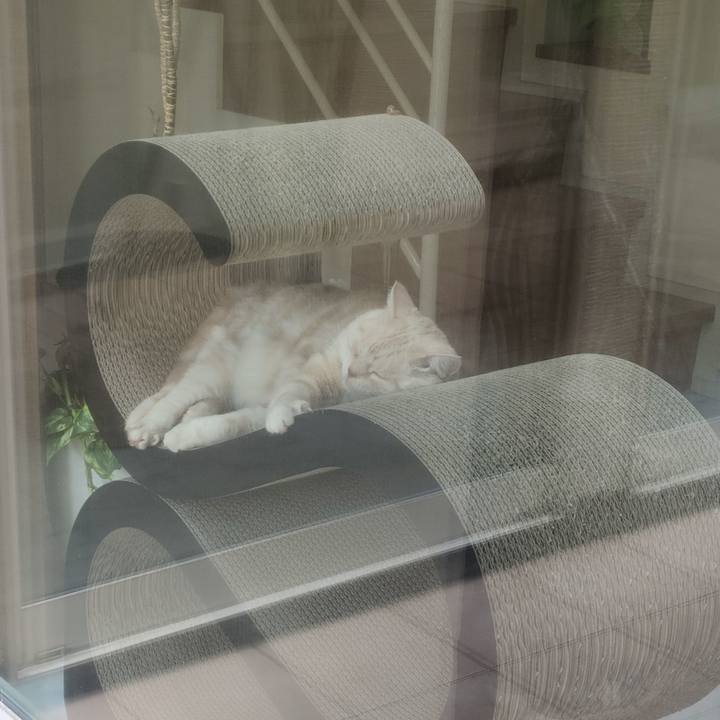 Cfa5a76d 2dc4 4ef2 8f17 06c6b326de80 1626316177221