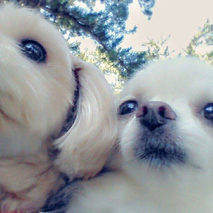 Cfa64718 2ab4 42e2 89fb 2c93e0fa88a0 1583577623183