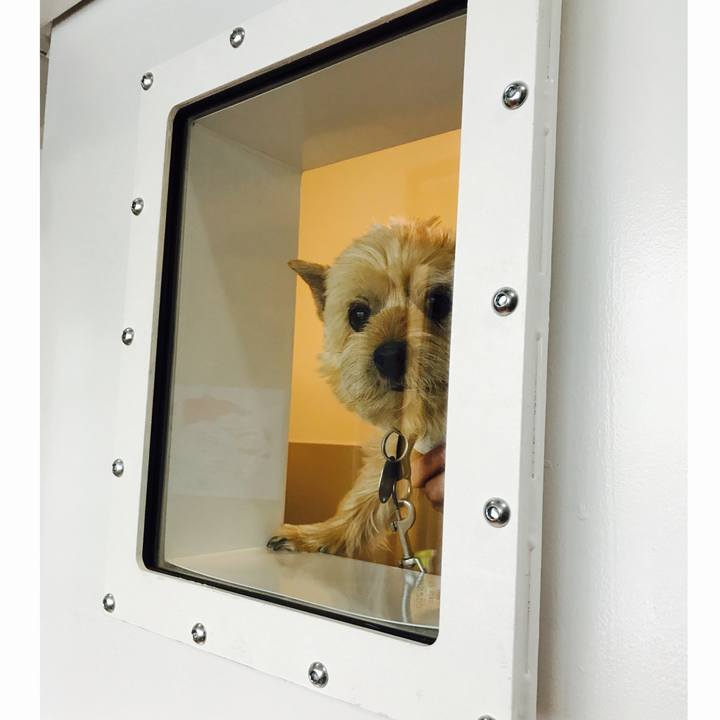 Cfa66819 8e30 4714 a2e9 332f2689daa2 1555036429941