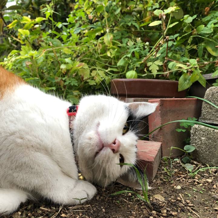 Cfa6c8c5 6955 4b40 b654 d552fd91eef3 1605738783140