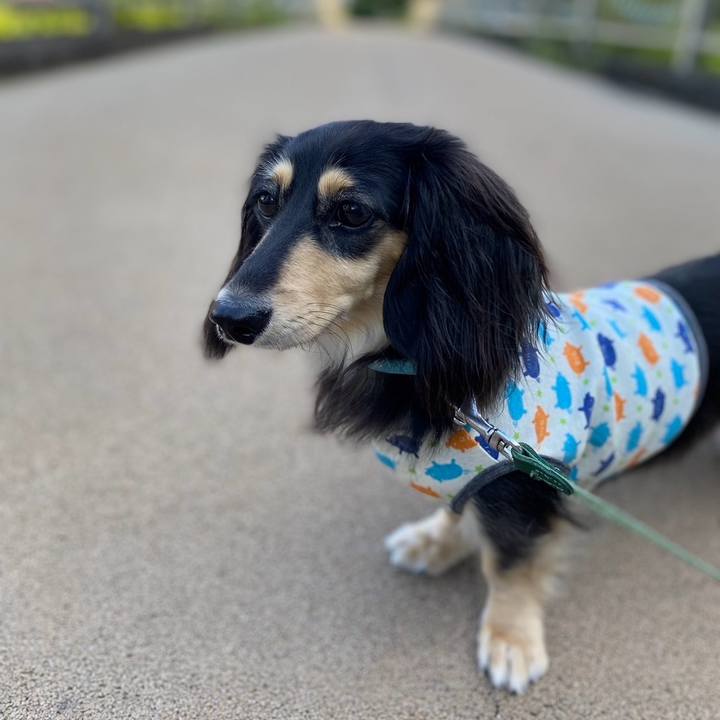 Cfa6de3b 7739 4124 b2d1 413cdecf7dbf 1721603329012