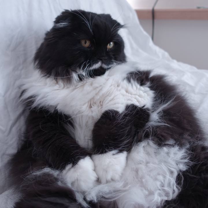 Cfa7176f 7899 4ecb 91b7 99320417d77b 1512229964624