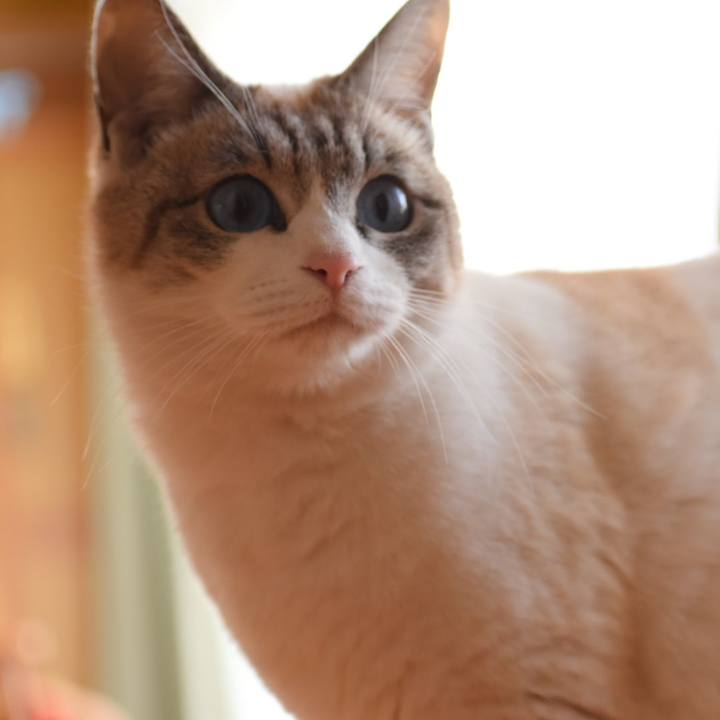 Cfa72488 26fb 4bd8 ae05 9816c4b0e5a1 1520759213664