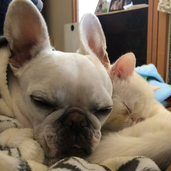 Cfa786fb 6ec9 40c8 aa5b dcfbf4a4950b 1550382957311