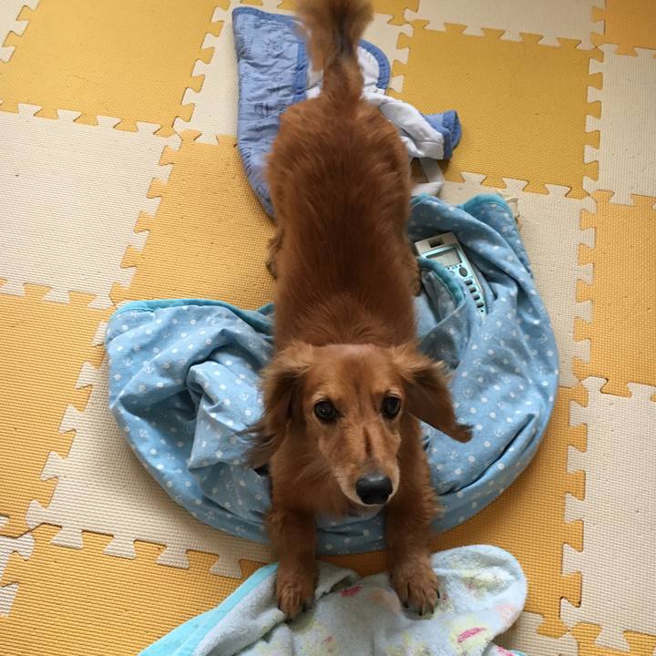 Cfa7a359 0542 4aee a30b 301090b2db79 1594293376147