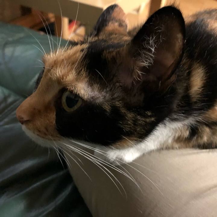 Cfa7aabb 40ae 465f be17 c99a8a0343d5 1530797393021