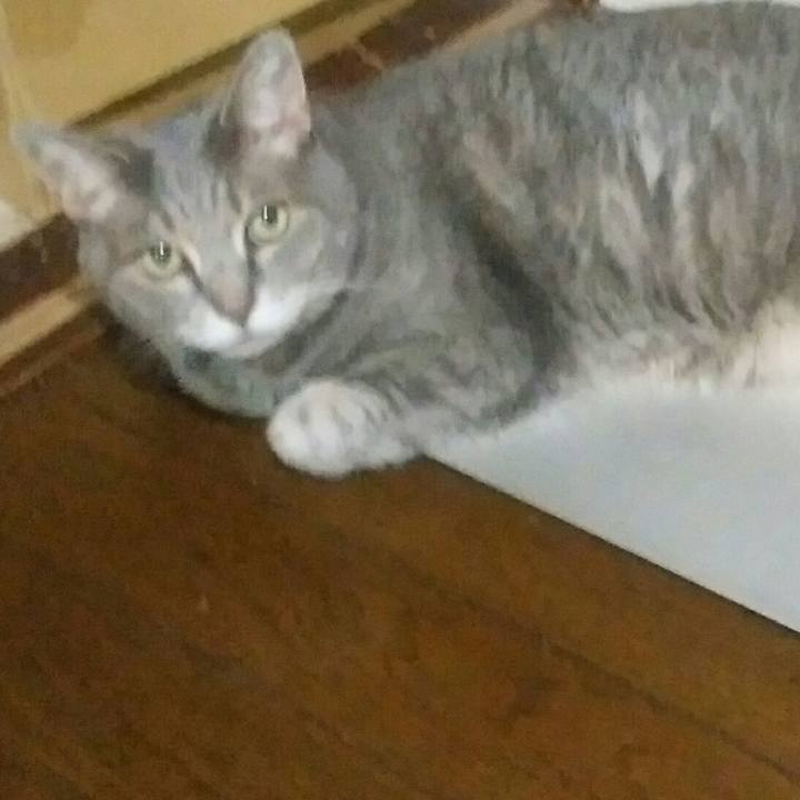 Cfa7dc8f 8212 456e a1ba 16837a7ed828 1566556173573