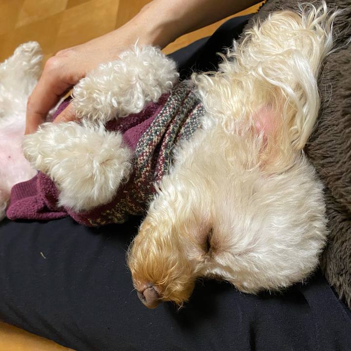 Cfa80330 b281 4dce a610 668276f31c5e 1615545736003