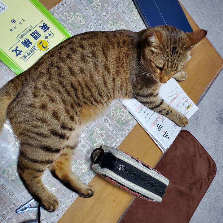 Cfa8074d 07e0 4609 b6d6 4a939a58d588 1704384129410