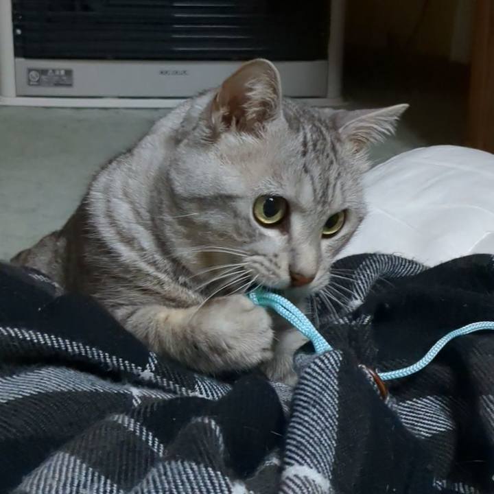 Cfa82531 e5e4 4b4d 8eab e675bc31fcfe 1772203936236