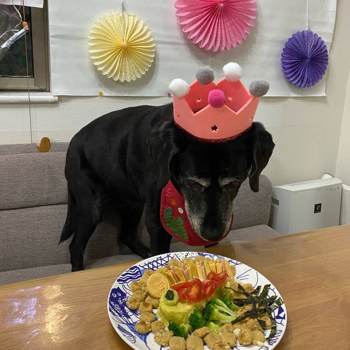 Cfa850fb f3b1 412d 9690 afaee3cda1c3 1701087834394