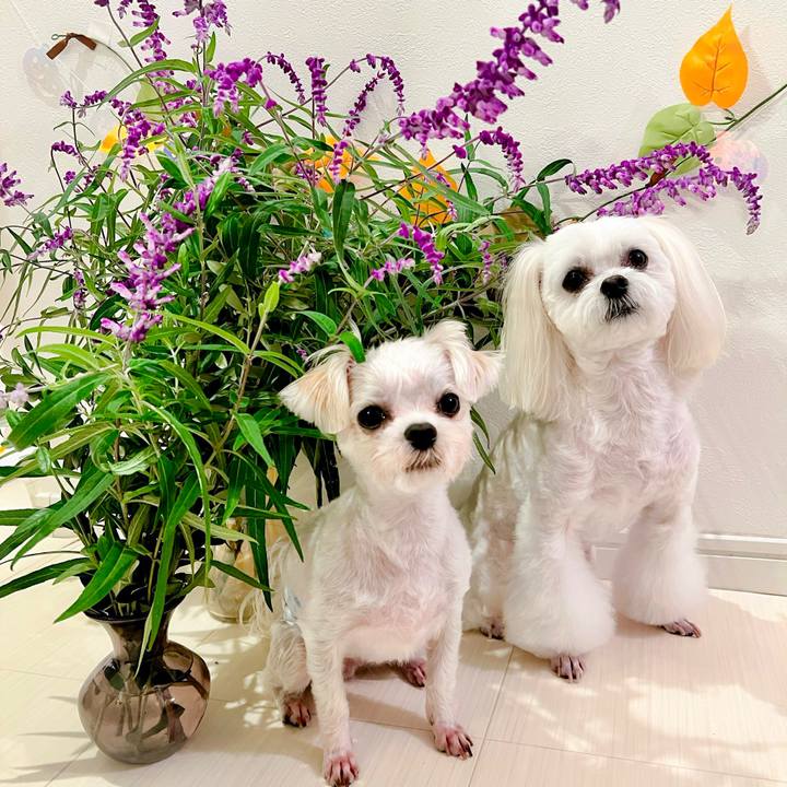 Cfa85ce7 a333 4d69 9b6f 78db3a457947 1666756857144