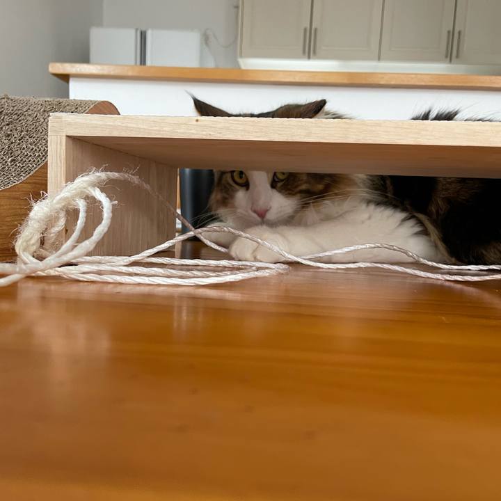 Cfa86bde 1274 41a4 8fea b4169af3787f 1645850260082