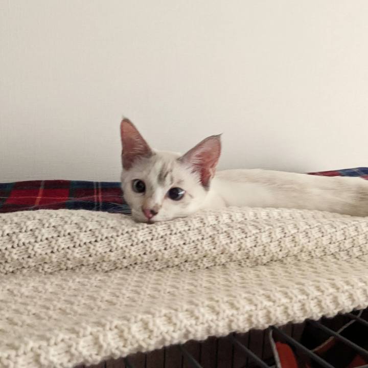 Cfa87544 3657 4f69 98f6 e7d0575bfef0 1691895559613