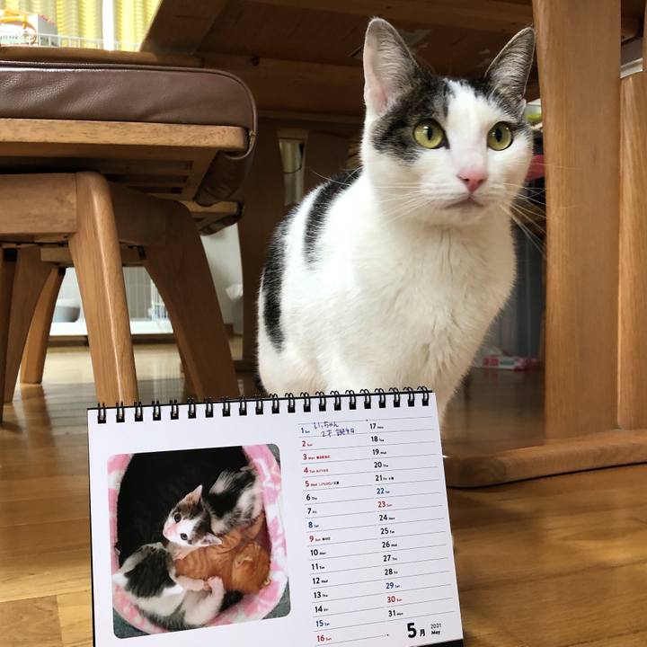 Cfa898ac eae5 4000 b984 aa23bfd90d44 1619850549104