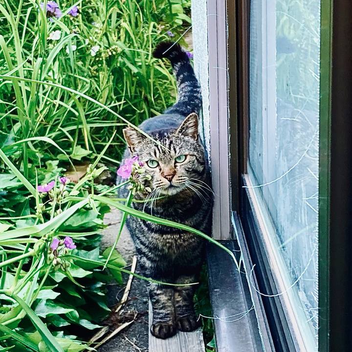 Cfa8aa94 bafb 499e 9097 3f7585d30afa 1654656199267