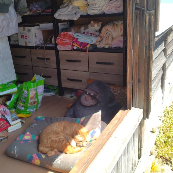 Cfa8bb8d 4958 451d 9fd9 e12017087d85 1745291453775